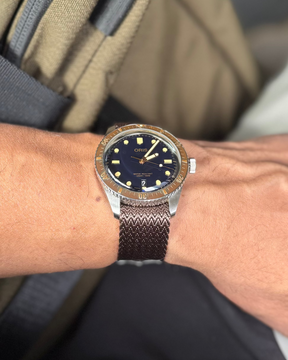 Sandbar Shark / 20mm