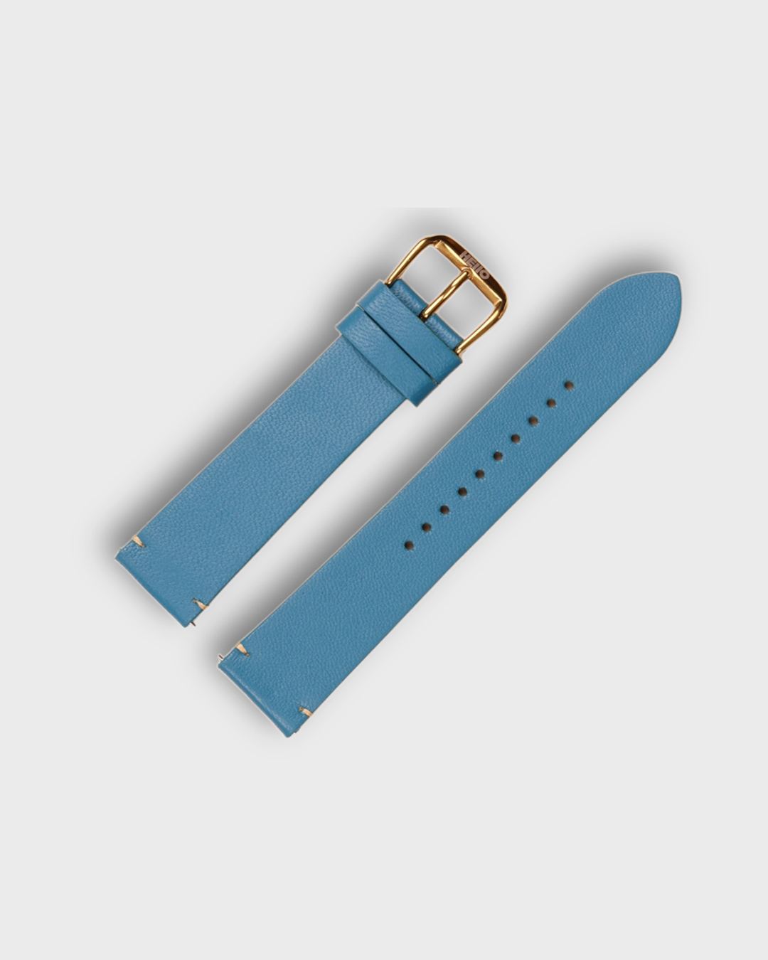 IGUANA BLUE__