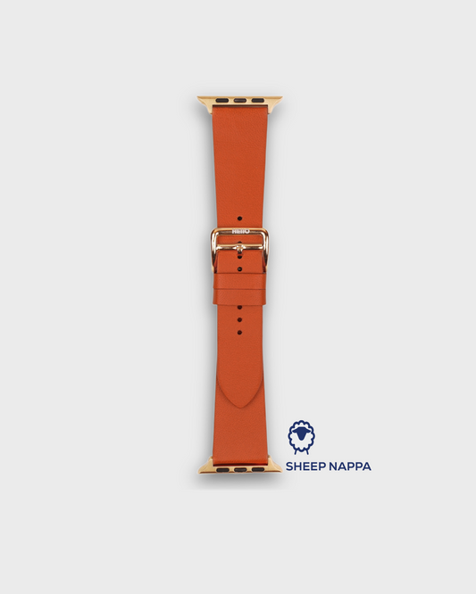 Carrot Orange__
