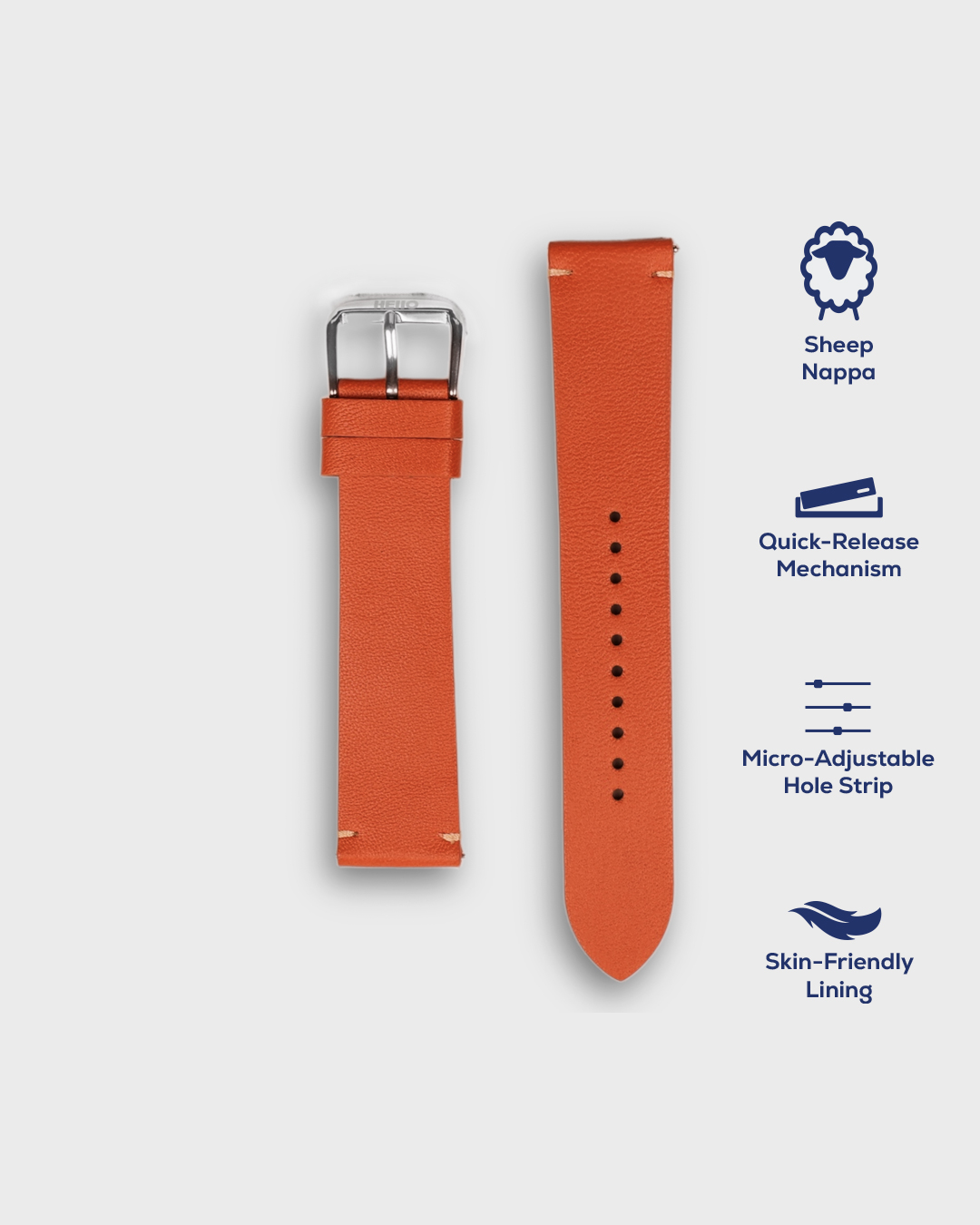 CARROT ORANGE__