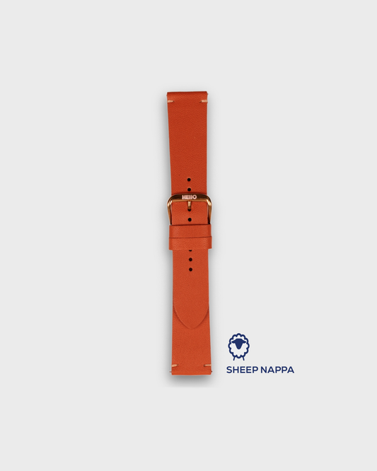 CARROT ORANGE__